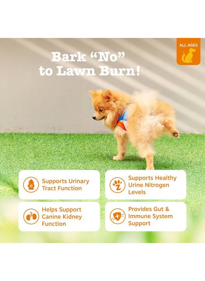 Zesty Paws Stay Green Bites for Dogs - Grass Burn Soft Chews for Lawn Spots Caused by Dog Urine - with Cranberry for Urinary Tract & Bladder - Chicken - 90 Count  - Image 2