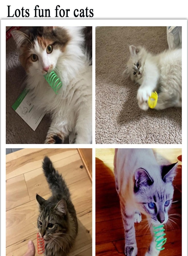 itPlus Cat Spring Toys, Bouncy Coil Kitty Cats Spiral Spring Toy for Indoor Cats Heavy Interactive Cat Toys Springy Chew Toys Colorful Springs Cat Toy for Biting, Swatting, Hunting Entertainment Kitten Toys - Image 5