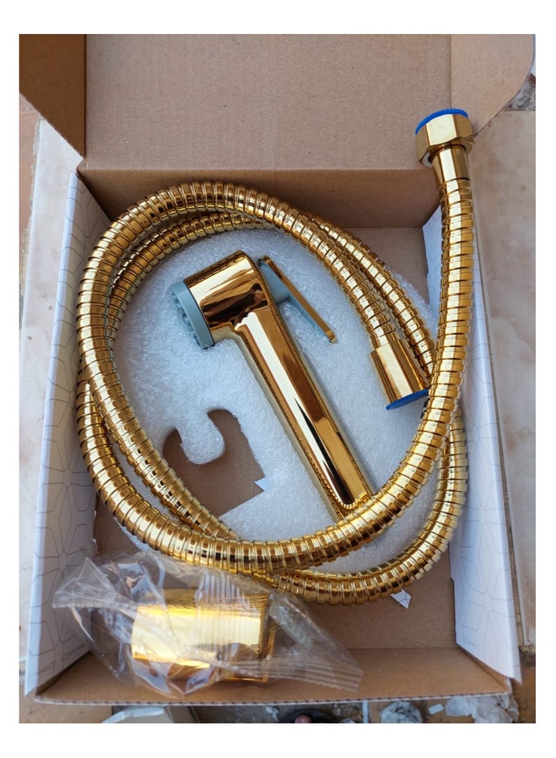 Hand Sprayer-Gold - Image 1