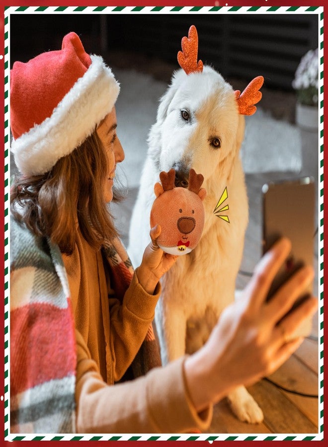 Vinsot Christmas Dog Toy Set Christmas Tree Squeaky Santa Claus Snowman Elk Interactive Ball Hide and Seek Dog Toy Plush Dogs Toys to Keep Them Busy Xmas Gift for Small, Medium, Large Pets - Image 5