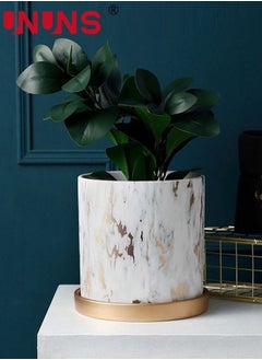 Ceramics Flowerpot