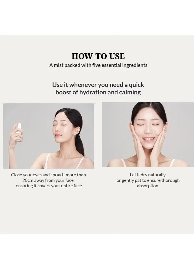 mixsoon Bean Essence 50ml + Calming Boost Mist 50ml - Image 2