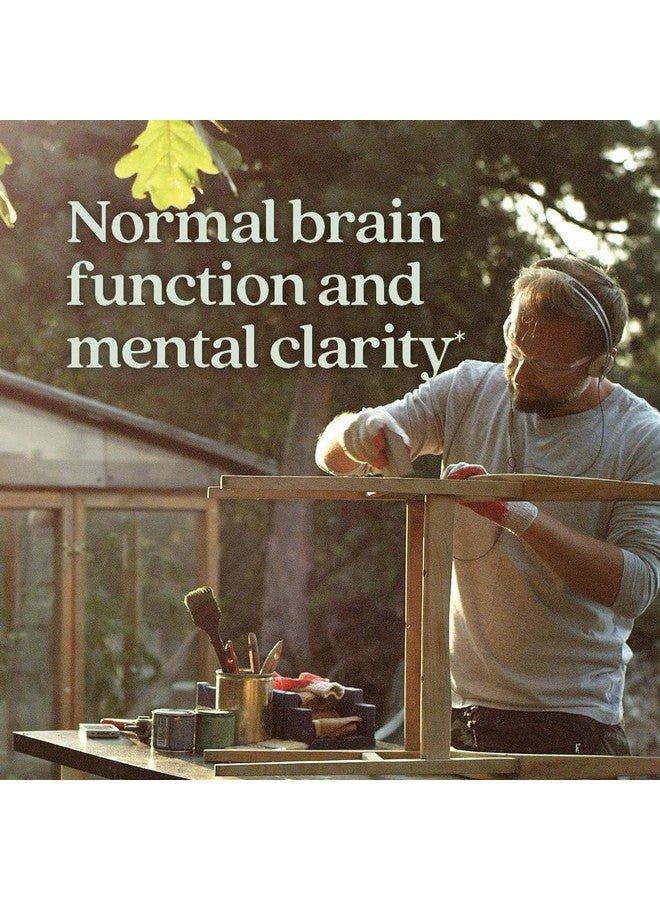 نيو تشابتر فصل جديد من عرف الأسد + فطر الريشي - قوة العقل من لايف شيلد لوضوح الذهن مع فطر الريشي العضوي + مكونات نباتية + غير معدلة وراثيًا، منشطة للذهن - 60 قرصًا - Image 2