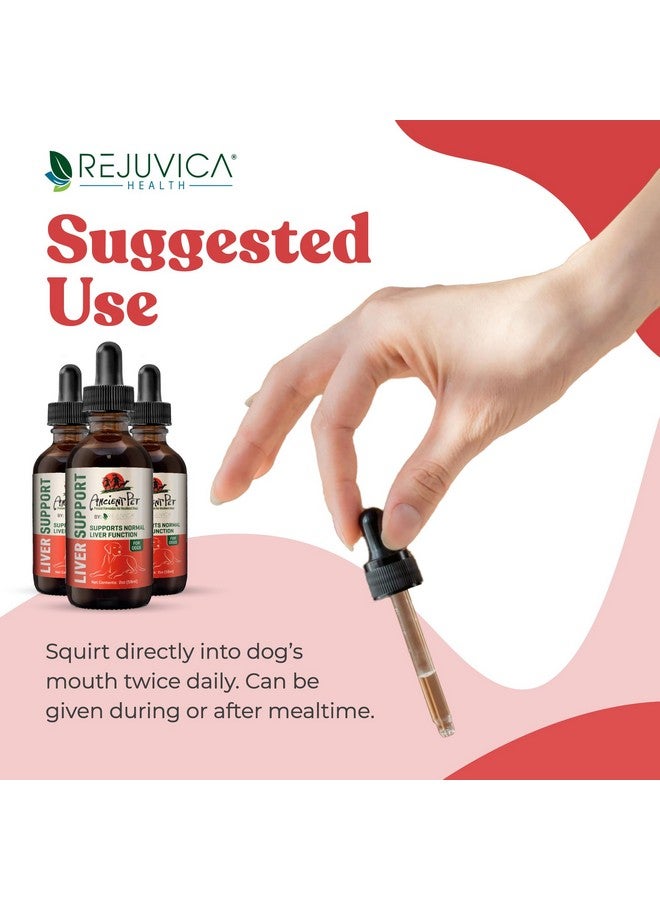Rejuvica Health Ancient Pet Liver Support for Dogs & Cats -Simple Liquid delivery, Mixes Easily with Food or Water - Milk Thistle, Dandelion & Artichoke - Enhanced Absorption - 2 fl oz  - Image 4