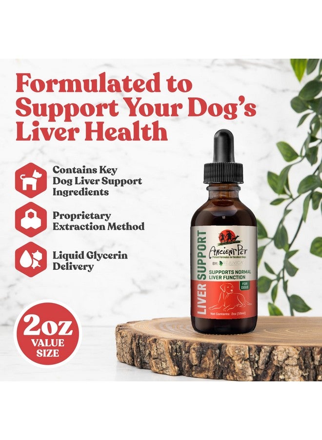 Rejuvica Health Ancient Pet Liver Support for Dogs & Cats -Simple Liquid delivery, Mixes Easily with Food or Water - Milk Thistle, Dandelion & Artichoke - Enhanced Absorption - 2 fl oz  - Image 2