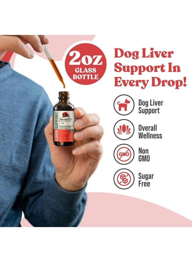 Rejuvica Health Ancient Pet Liver Support for Dogs & Cats -Simple Liquid delivery, Mixes Easily with Food or Water - Milk Thistle, Dandelion & Artichoke - Enhanced Absorption - 2 fl oz  - Image 5