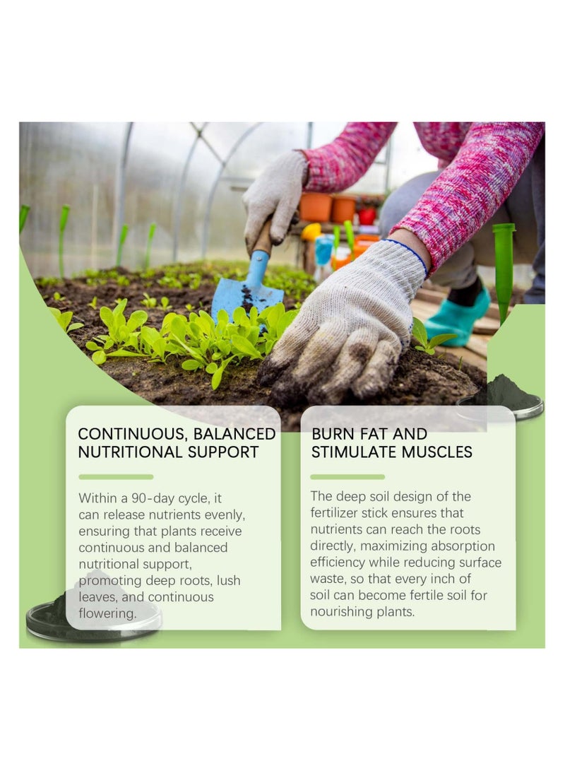 SYOSI عصا سماد نباتي بطيئة الإفراج، سماد زهور منزلية، غذاء نباتات داخلية، عصي مغذية للنباتات لأشجار الفاكهة، الخضروات، الزهور، جذور المواد الطبية والدرنات - Image 3