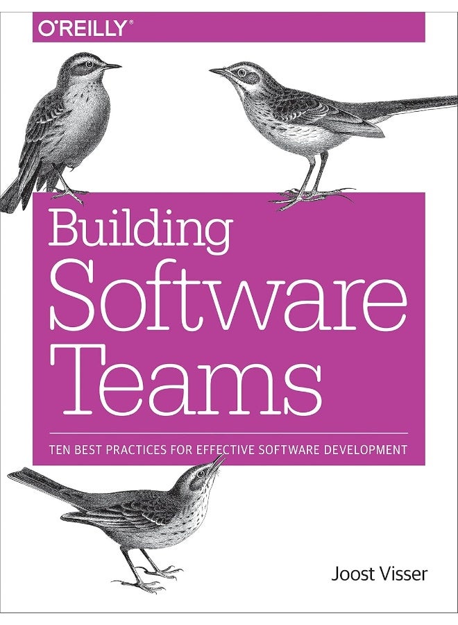 Building Software Teams: Ten Best Practices for Effective Software Development 