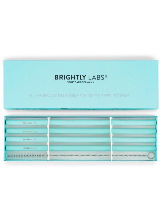 BRIGHTLY LABS Set of 4 Stainless Steel Reusable Straws with Cleaning Brush - Eco-Friendly Metal Drinking Straws Set for Sipping and Savoring Your Favorite Beverages  - Image 4