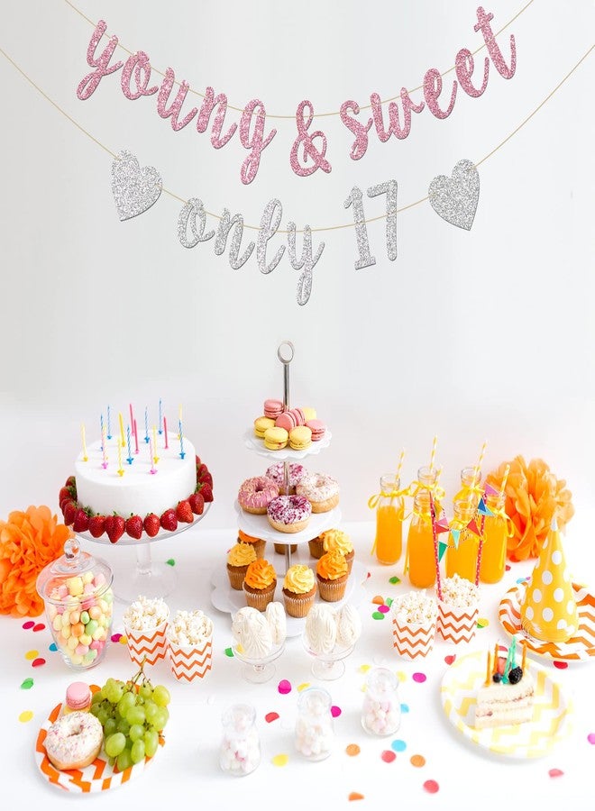 INNORU Young & Sweet Only 17 Banner - Happy 17th Birthday Party Decor for Girls - Cheers to 17 Years Party Decorations Supplies, Pink & Silver Glitter - Image 3