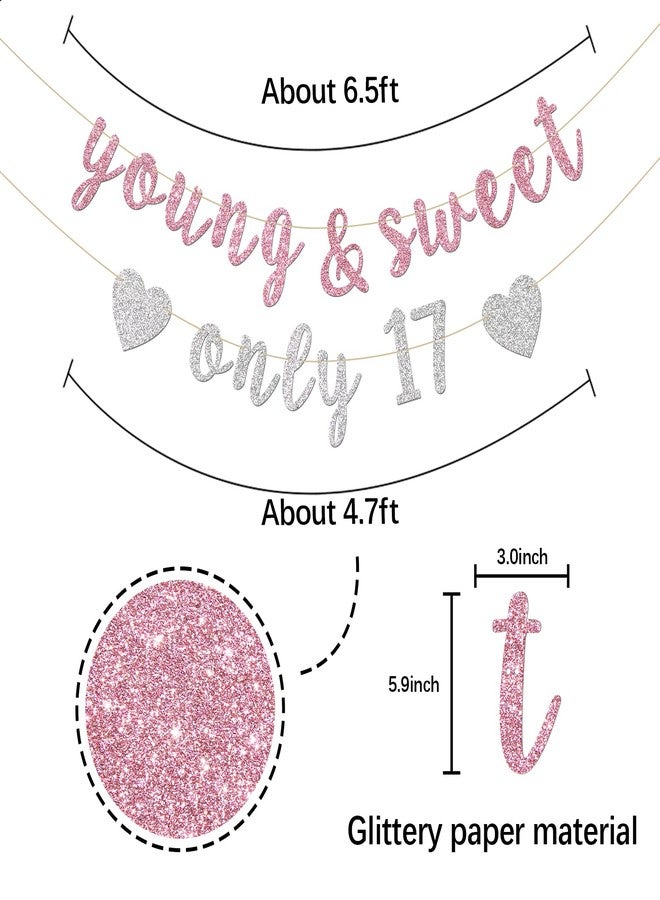INNORU Young & Sweet Only 17 Banner - Happy 17th Birthday Party Decor for Girls - Cheers to 17 Years Party Decorations Supplies, Pink & Silver Glitter - Image 2