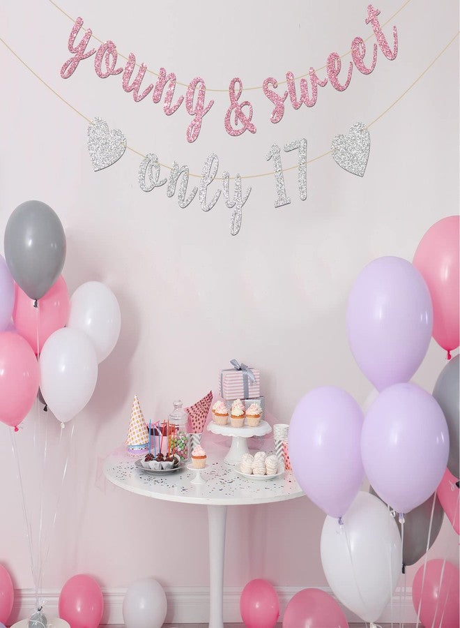 INNORU Young & Sweet Only 17 Banner - Happy 17th Birthday Party Decor for Girls - Cheers to 17 Years Party Decorations Supplies, Pink & Silver Glitter - Image 4