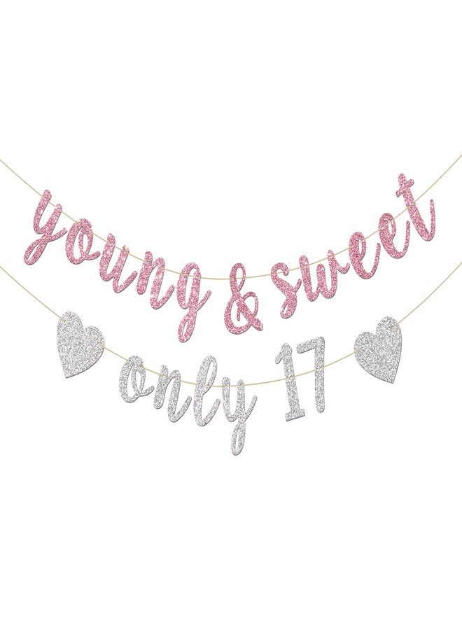 INNORU Young & Sweet Only 17 Banner - Happy 17th Birthday Party Decor for Girls - Cheers to 17 Years Party Decorations Supplies, Pink & Silver Glitter - Image 1
