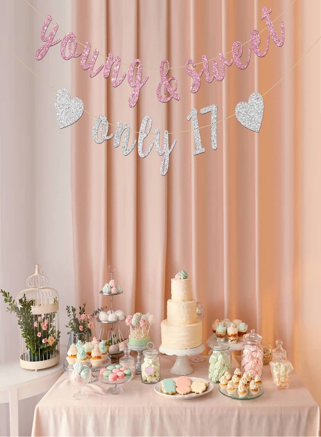 INNORU Young & Sweet Only 17 Banner - Happy 17th Birthday Party Decor for Girls - Cheers to 17 Years Party Decorations Supplies, Pink & Silver Glitter - Image 5