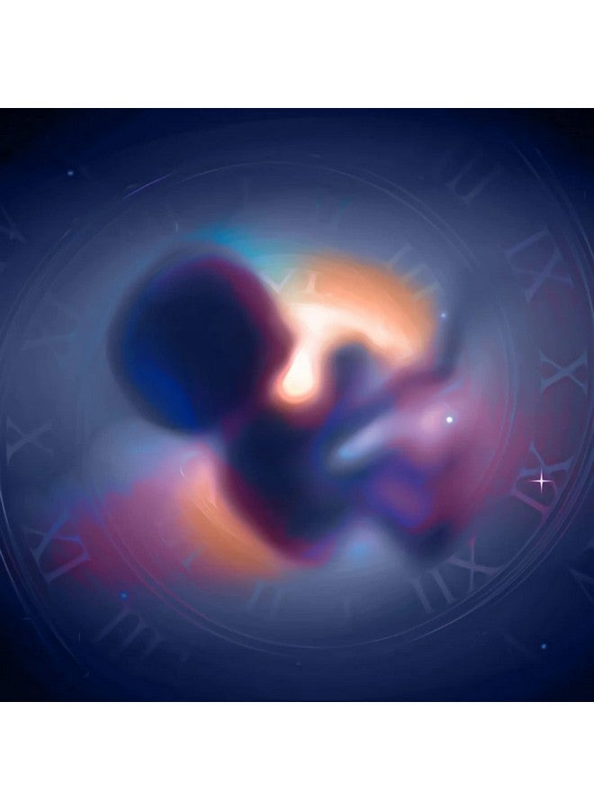 MICHAEL'S Health Naturopathic Programs Male Reproductive Factors - 60 Vegetarian Tablets - Nutrients to Support Male Fertility - Kosher - 20 Servings - Image 4