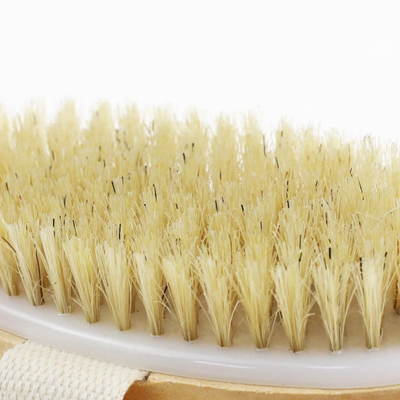 Natural Boar Bristle Body Brush With Wooden Handle For Exfoliating And Massaging Dry Wet Skin - Image 4
