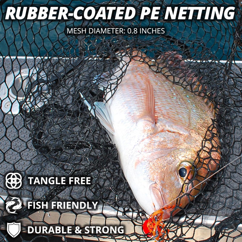 ZOINLIY Long Fishing Net, Foldable Landing Net with Telescoping Handle, Rubber Coated Polyethylene Netting, Lightweight & Strong, Length 56â€³-75â€³, Hoop Size 20â€³ x 19â€³, Depth 20â€³, 25 lbs. Capacity - Image 5