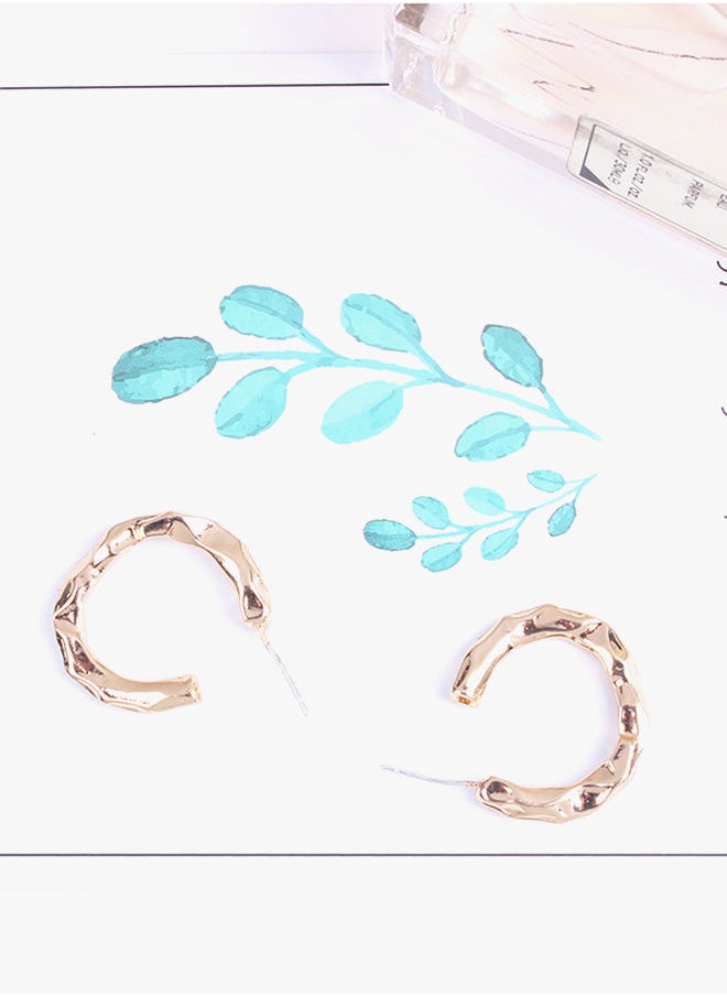 NIBEMINENT - Alloy Hoop Earrings - Image 1