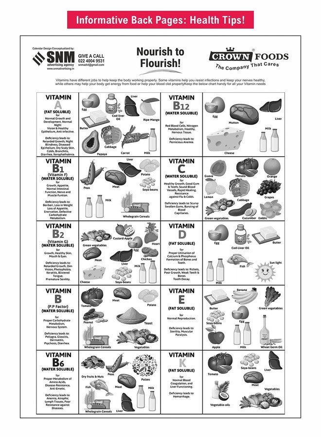 CROWN English Wall Calendar 2026 | 12 Page Large Dates with Space for Imp Notes/Marks | 14x20" Art Paper | With Indian Holidays and Events | Useful information, recìpes and food tips on all back pages - Image 4