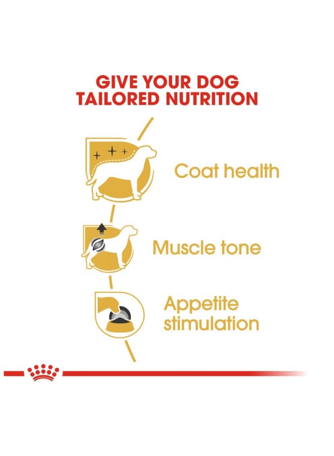 ROYAL CANIN Breed Health Nutrition Poodle Adult Wet Food Pouches - Image 3