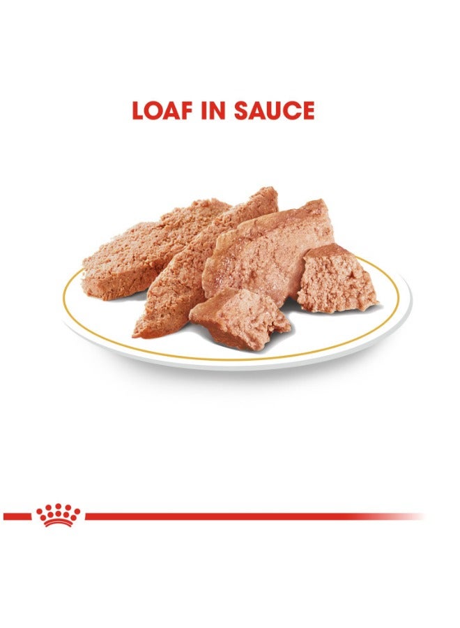 ROYAL CANIN Breed Health Nutrition Poodle Adult Wet Food Pouches - Image 2