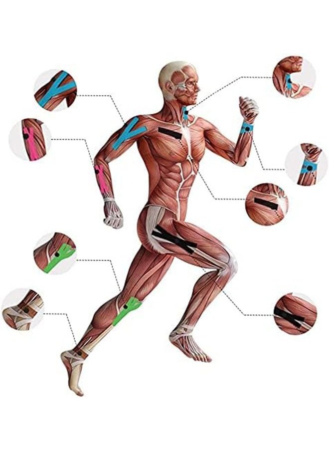 4-Pack Waterproof Kinesiology Tape, Elastic Muscle & Sport Tape for Pain Relief, Gym, Fitness & Athletic Support (Black, Skin, Pink, Light Blue)