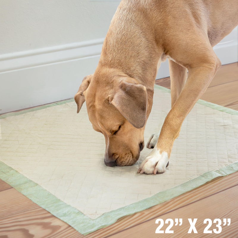 Four Paws Wee-Wee Superior Performance Bamboo Pee Pads for Dogs, Earth Friendly Dog & Puppy Potty Training Pads, Crate Liners, Housebreaking Supplies, 22" x 23" (14 Count) - Image 3