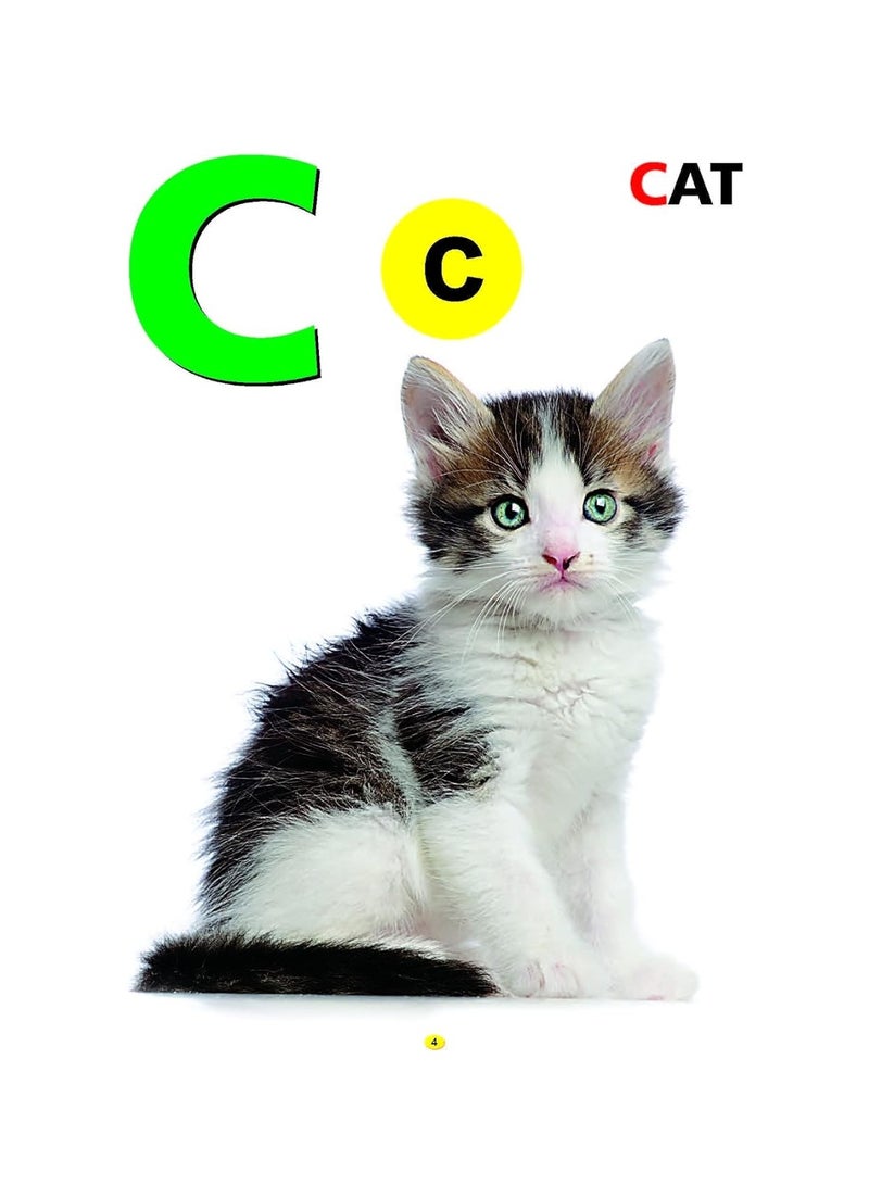 My First Book of ABC - Alphabet Learning, Preschool Activity Book for Brain Development, Phonics, and Early Communication Skills - Image 2