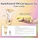 YVBBHE Big Hand Painted Cat Squishy ToysLarge Cute Ultra Soft Kitty Squeeze Fidget Toys for Stress Relief Kawaii Squishies Sticky Animal Toys for Adults KidsDecompression Sensory BallsCream - Image 4