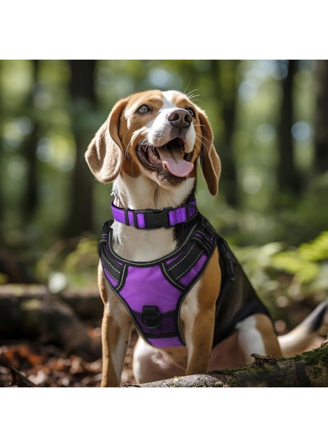 Joytale طوق كلب عاكس، ناعم مبطن من النيوبرين، طوق نايلون قابل للتنفس قابل للتعديل للكلاب الكبيرة، بنفسجي، L - Image 2