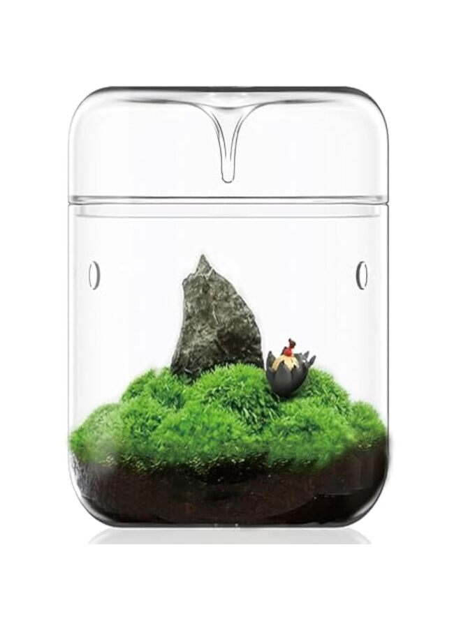 LAMAY Small Glass Plant Terrarium 5.85"X9" Inches Succulent Air Planter Fern Moss Micro-Landscape Vase for Home Garden Office Tabletop Decoration - Image 1