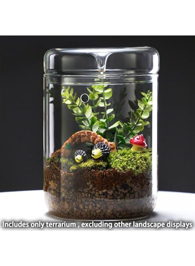 LAMAY Small Glass Plant Terrarium 5.85"X9" Inches Succulent Air Planter Fern Moss Micro-Landscape Vase for Home Garden Office Tabletop Decoration - Image 2