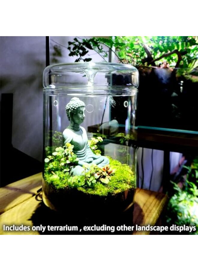 LAMAY Small Glass Plant Terrarium 5.85"X9" Inches Succulent Air Planter Fern Moss Micro-Landscape Vase for Home Garden Office Tabletop Decoration - Image 4