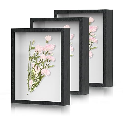 SMZCTYI Shadow Box Frame 8x10 - 3 Pack Wood Deep Shadowbox with Glass Shadow Boxes Display Cases Suitable for Photos, Dried Flowers, Handicrafts Picture Frames for Wall (Black) - Image 1