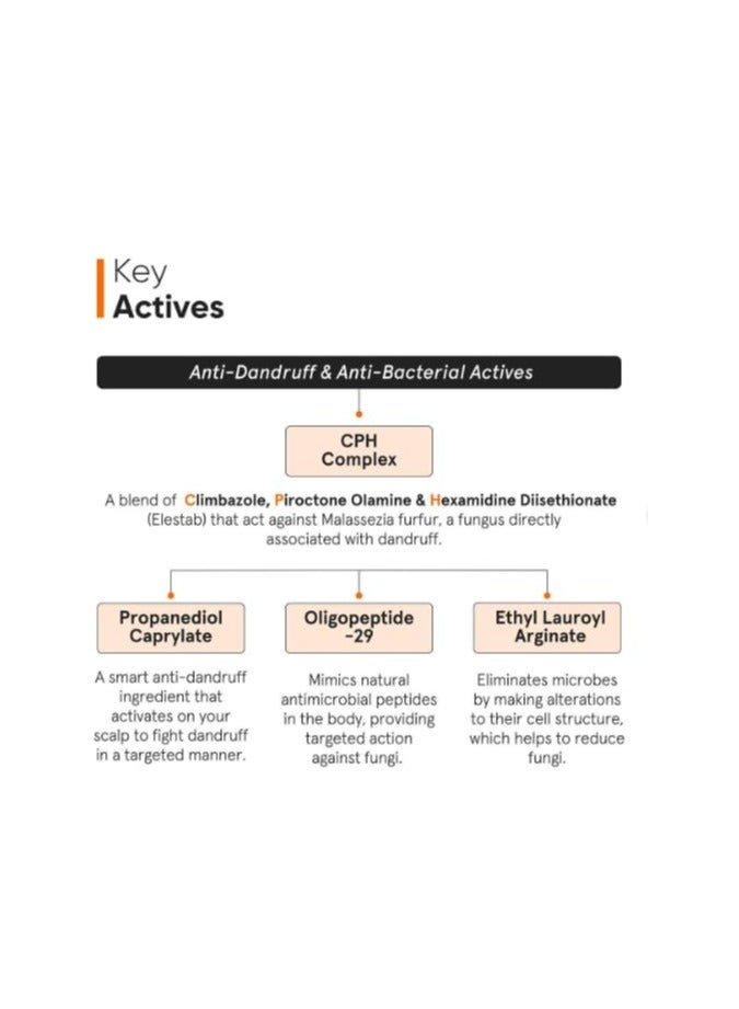 Minimalist Anti-Dandruff Hair Serum for Scalp | Pre Shampoo Treatment with CPH Complex & Oligopeptide 0.8% | With Elestab Advanced Anti Dandruff Molecule | For Women & Men | 50ml - Image 5