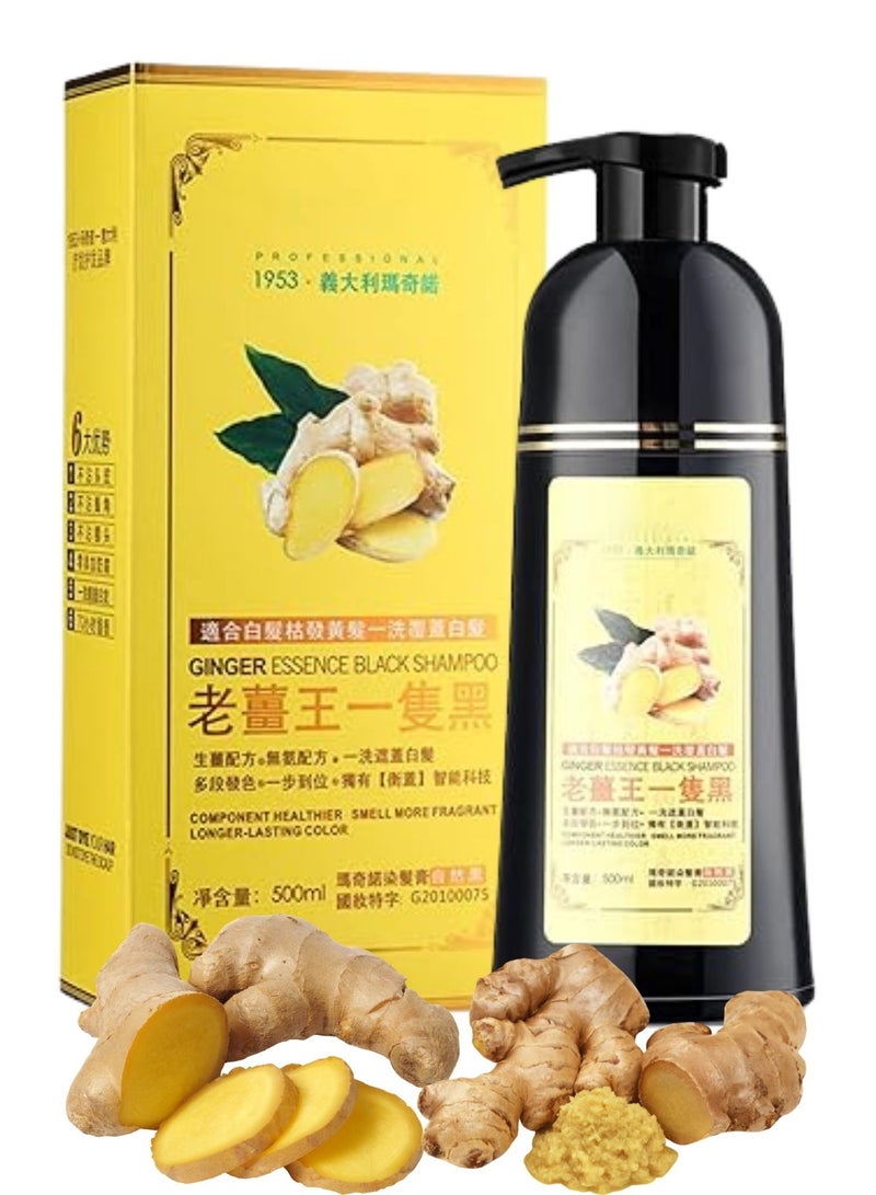 D Beauty 500ML Mokeru Hair Colour Shampoo, Ginger Hair Dye Black Shampoo for Gray Hair Turn into Black in 5 Minutes, 100% Healthy Dyeing Shampoo No Damage to Hair, Instant Hair Shampoo Cover for Women & Men - Image 1