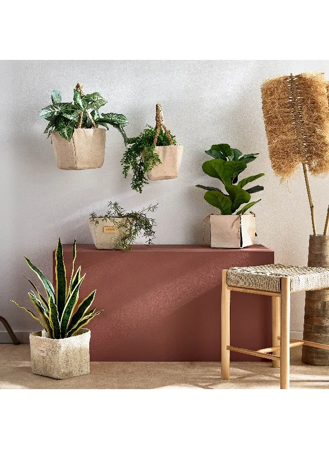 Home Box  Bella Canvas Stitch Planter with Wooden Label - 14x14x15 cm  | Best Price UAE