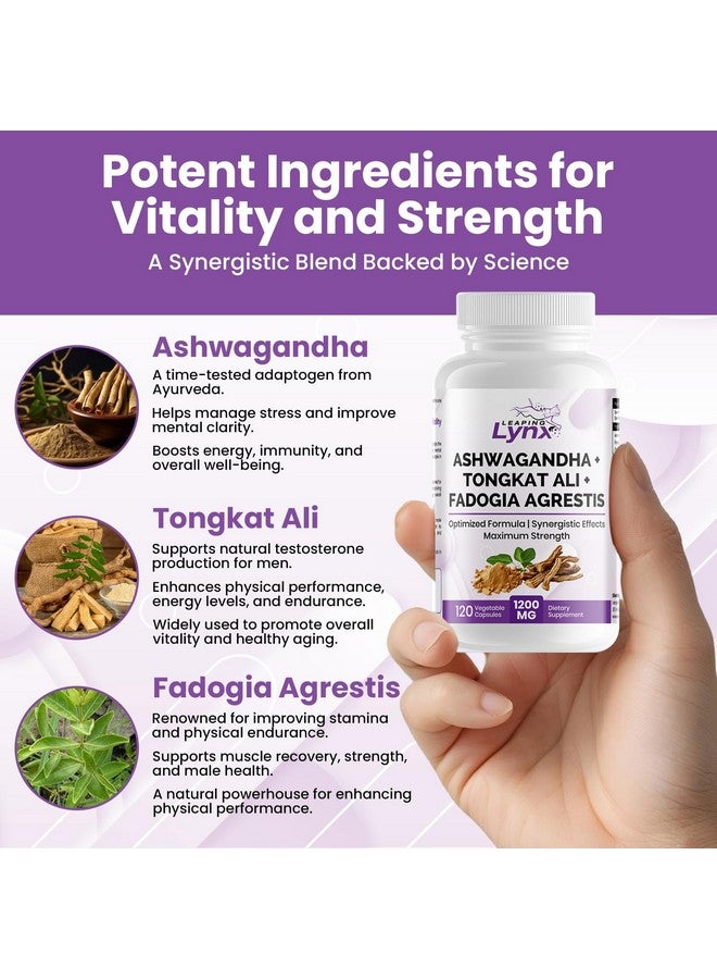 Leaping Lynx Ashwagandha + Tongkat Ali + Fadogia Agrestis - 120 Capsules, 1200mg Per Serving - Powerful Herbal Blend for Energy, Stamina & Vitality - Synergistic Formula for Active Lifestyles - 3rd Party Tested - Image 4
