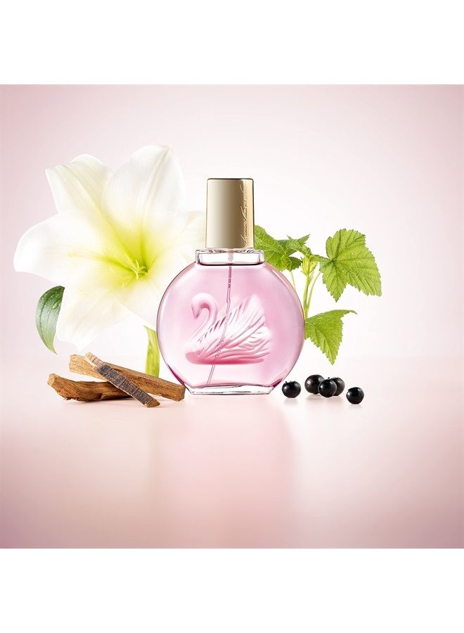 Gloria Vanderbilt مينويت في نيويورك بخاخ عطر 100 مل - Image 3