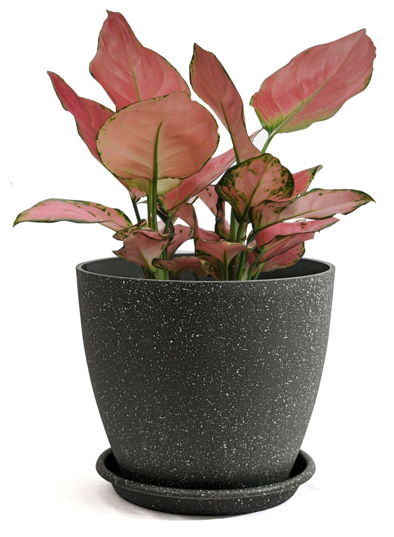 VGROW PRIME Plant Pots, Indoor Planters with Drain Holes and Tray, Minimalist Plastic Flowerpot (7 Inches, Dark Grey) - Image 2