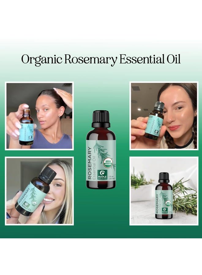Maple Holistics Certified Organic Rosemary Oil for Hair - Pure USDA Organic Rosemary Essential Oil for Hair Skin and Nails Plus Aromatherapy - Organic Hair Oil for Dry Scalp Treatment and Enhanced Volume and Shine - Image 2