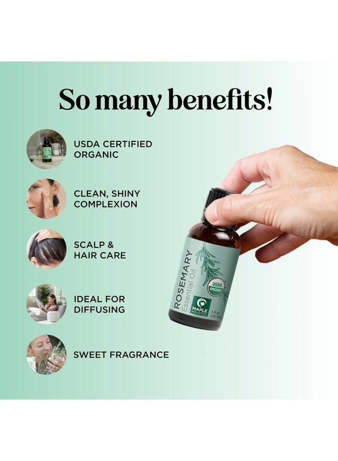 Maple Holistics Certified Organic Rosemary Oil for Hair - Pure USDA Organic Rosemary Essential Oil for Hair Skin and Nails Plus Aromatherapy - Organic Hair Oil for Dry Scalp Treatment and Enhanced Volume and Shine - Image 3