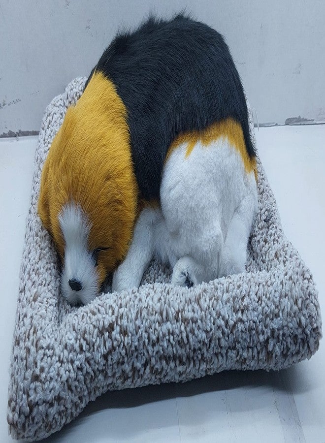 Car Sajawat Sleeping Dogs on Pad Decorations Furnishing Article and Craft 1 Pcs Sleeping Dog with a Mat. - Image 1