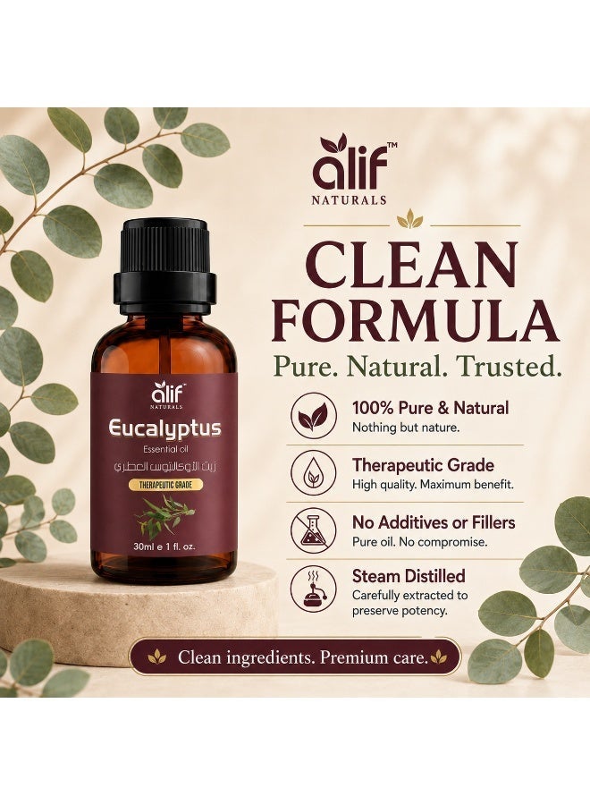 ALIF NATURALS Eucalyptus Essential Oil - 30 ml | 100% Pure and Natural | Premium Grade Essential Oils for Aromatherapy, Diffusers, Hair, Skin, Massage and Humidifiers - Image 2