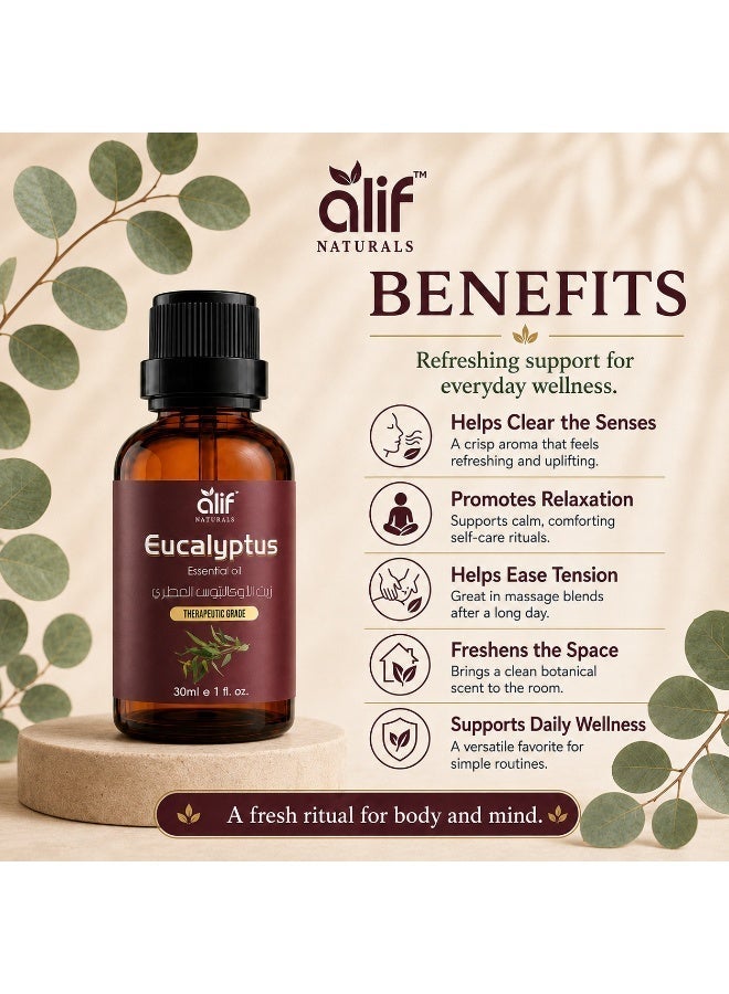 ALIF NATURALS Eucalyptus Essential Oil - 30 ml | 100% Pure and Natural | Premium Grade Essential Oils for Aromatherapy, Diffusers, Hair, Skin, Massage and Humidifiers - Image 3