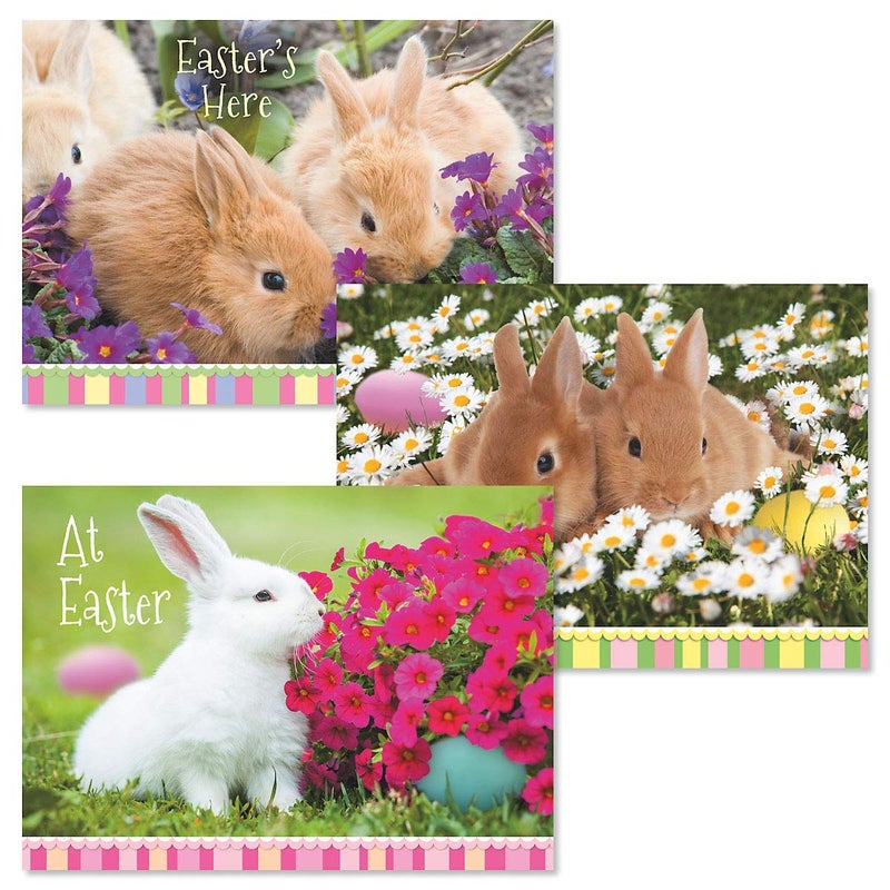 Current Photo Bunny Easter Greeting Value Card Set - Value Pack of 12 Cards for Kids & Adults With White Envelopes, 12 Design Prints, Large 5" x 7" Greetings - Image 2
