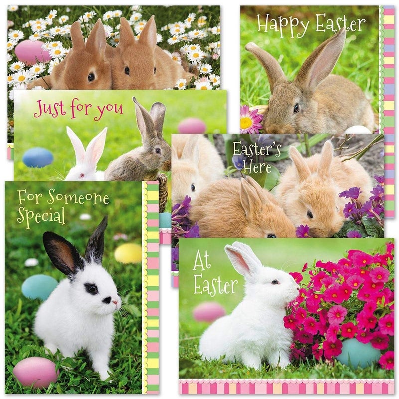 Current Photo Bunny Easter Greeting Value Card Set - Value Pack of 12 Cards for Kids & Adults With White Envelopes, 12 Design Prints, Large 5" x 7" Greetings - Image 3