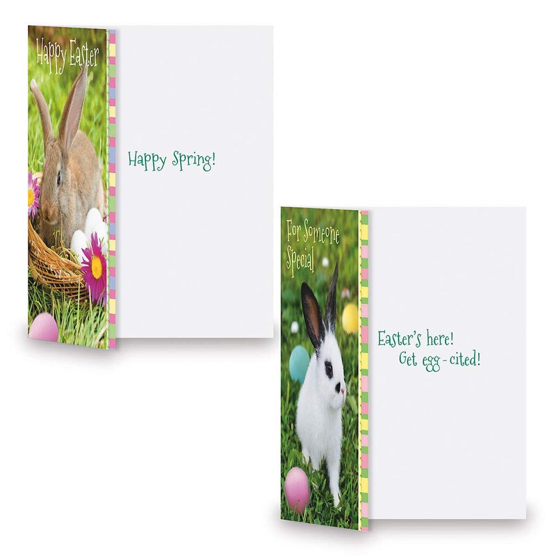 Current Photo Bunny Easter Greeting Value Card Set - Value Pack of 12 Cards for Kids & Adults With White Envelopes, 12 Design Prints, Large 5" x 7" Greetings - Image 5