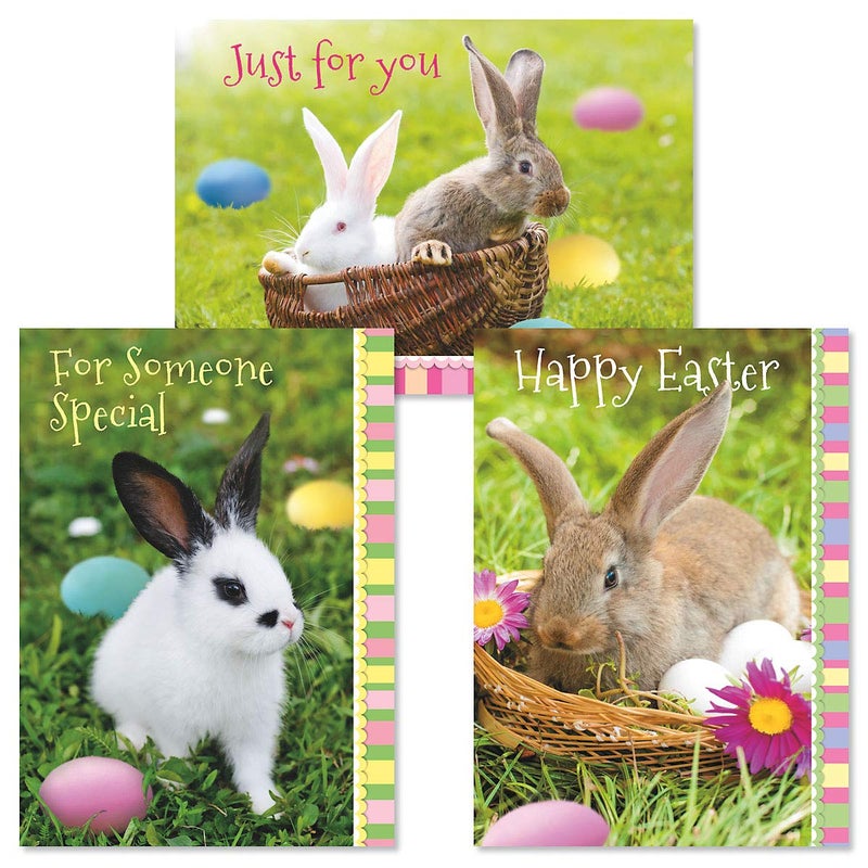 Current Photo Bunny Easter Greeting Value Card Set - Value Pack of 12 Cards for Kids & Adults With White Envelopes, 12 Design Prints, Large 5" x 7" Greetings - Image 1