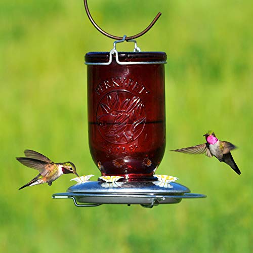 Perky-Pet PerkyPet Red Mason Jar Vintage Glass Hummingbird Feeder Outdoor Garden Dcor 32oz capacity 7861SR - Image 3